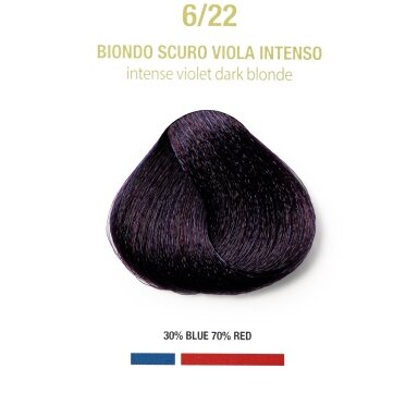 BGR6/22 – Tamsus intensyvus violetinis blondas (100 ml)