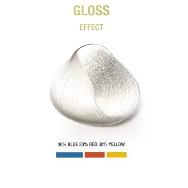 BGRGLOSS - Žvilgesio (specialus atspalvis) (100 ml)