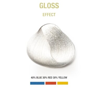 BGRGLOSS - Žvilgesio (specialus atspalvis) (100 ml)
