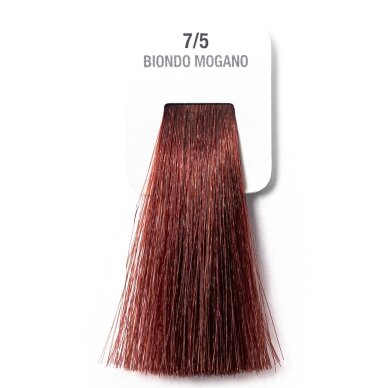 HT7/5 – Raudonmedžio blondas (100 ml)